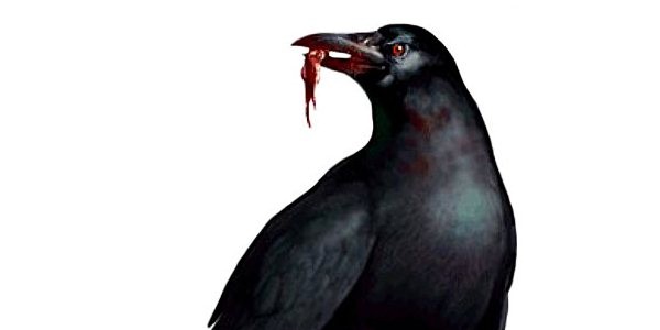 Corvos: “Os Pássaros” de Resident Evil